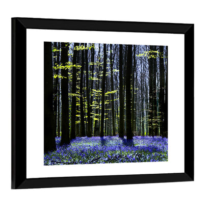 Bluebell Symphony Wall Art