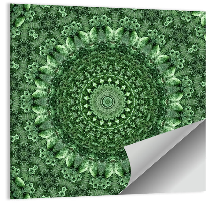 Green Botanical Kaleidoscope Mandala Wall Art as a poster print