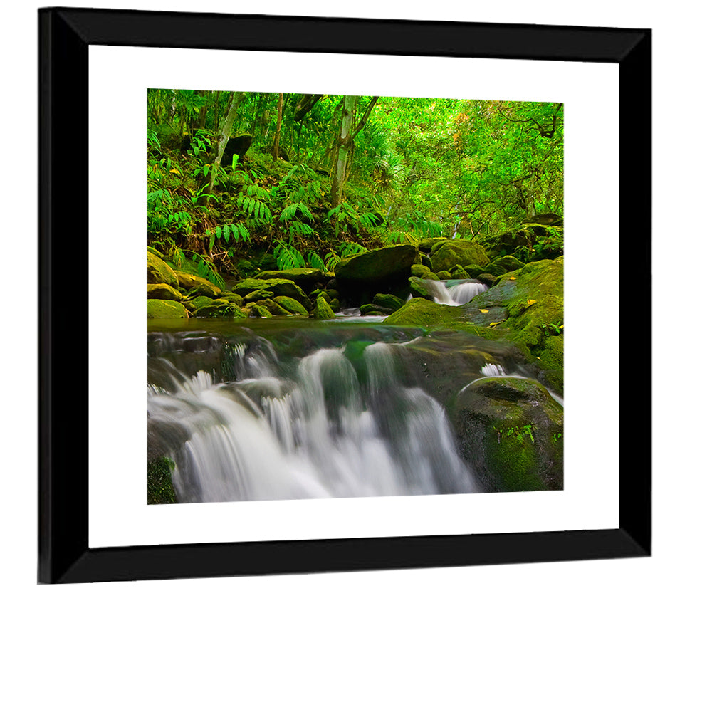 Forest Stream Wall Art