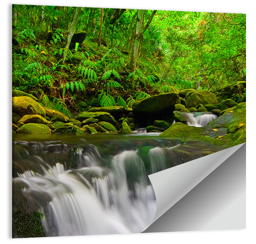 Forest Stream Wall Art