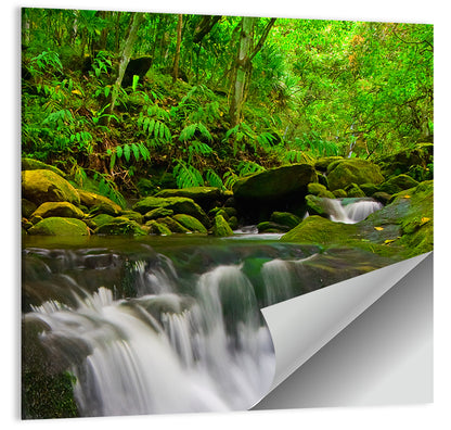 Forest Stream Wall Art