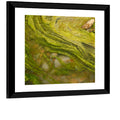Macro Algae Stream Wall Art