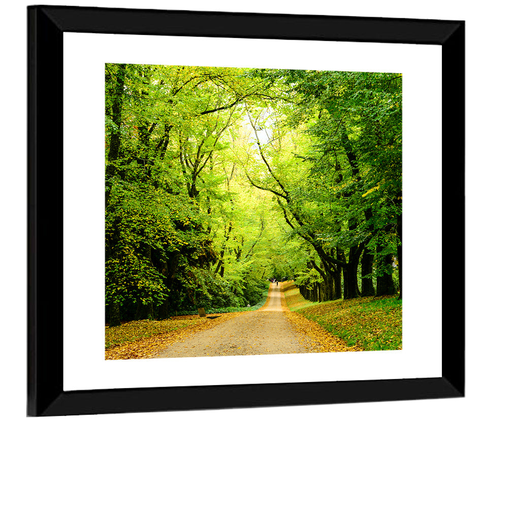 Sunlit Forest Pathway Wall Art