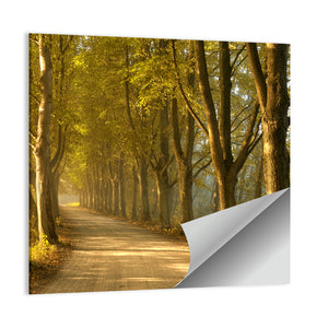 Countryside Road in Autumn Wall Art