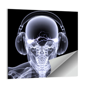Headphones & Skeleton X-Ray Wall Art