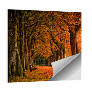 Forest Autumn Pathway Wall Art