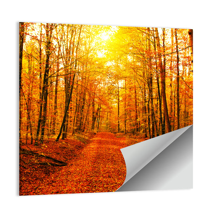 Golden Autumn Forest Path Wall Art as a poster print