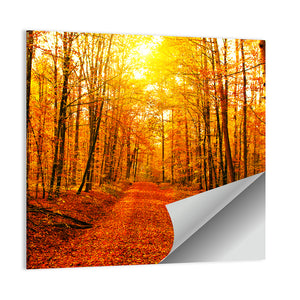 Autumn Forest Wall Art