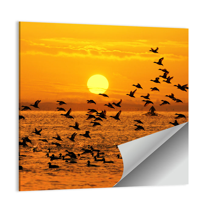 Golden Flock at Sunset Wall Art as a poster print