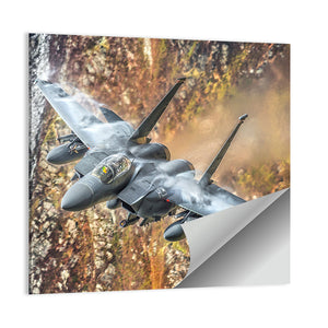 F15 Military Fighter Jet Wall Art