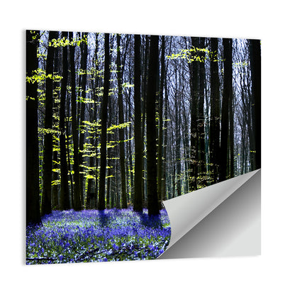Bluebell Symphony Wall Art