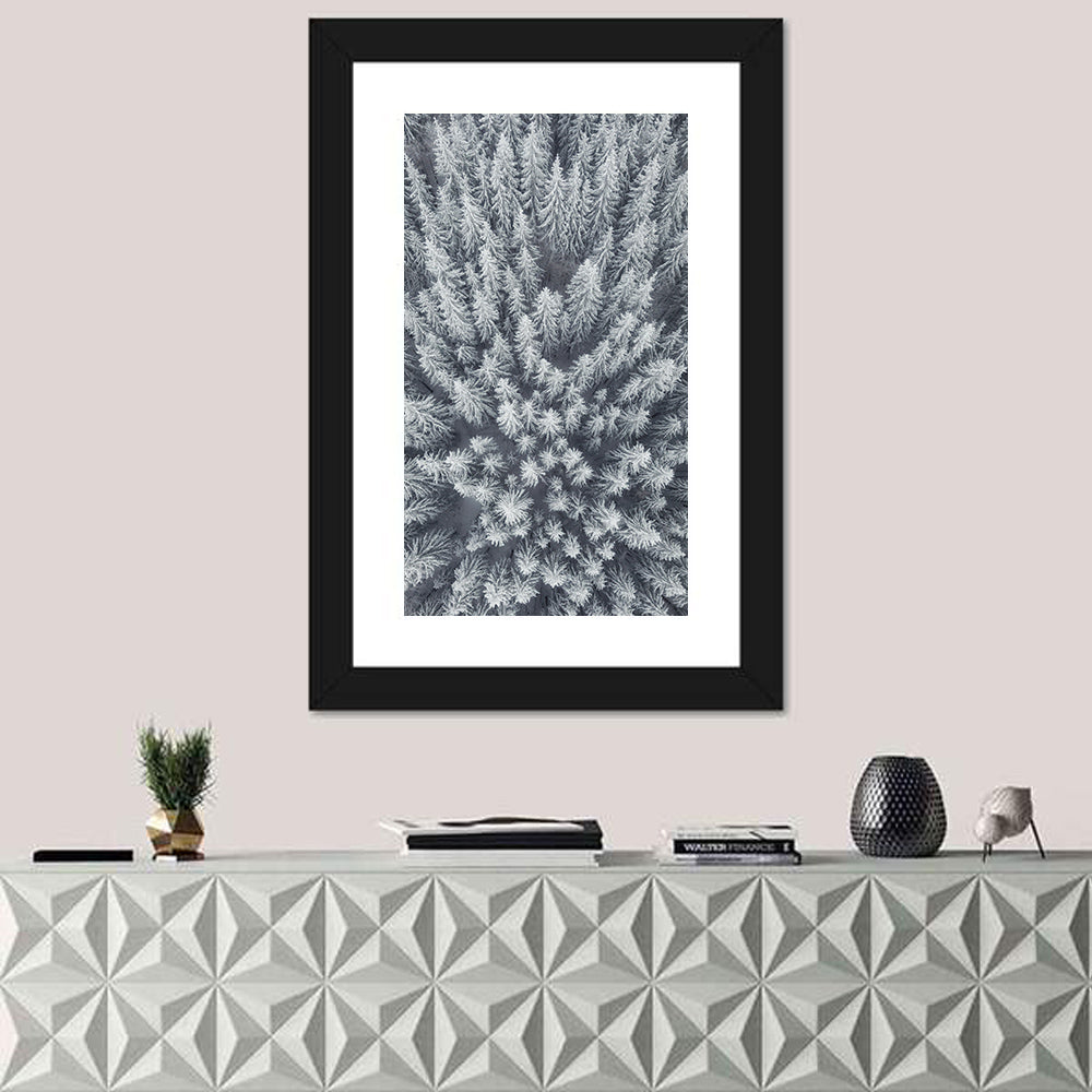 Snow Covered Pine Forest Wall Art