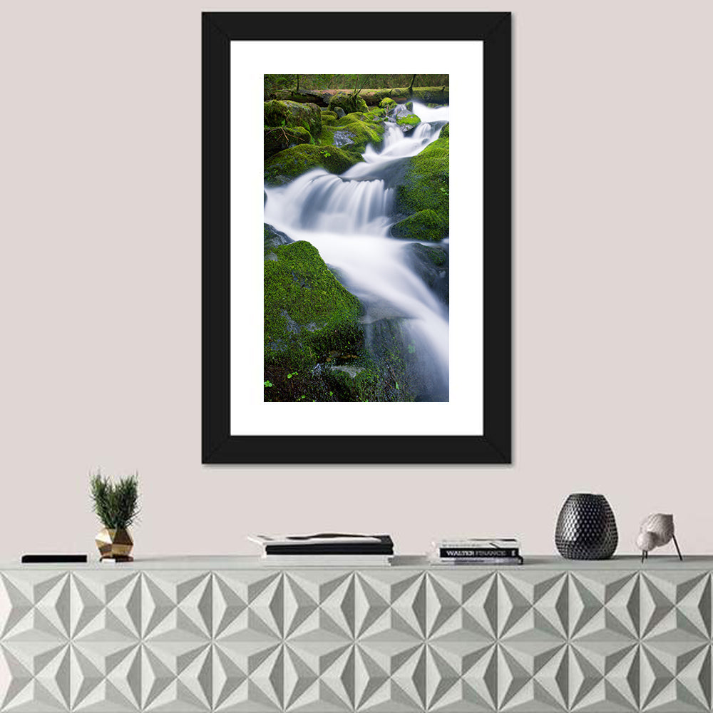 Olympic National Park Waterfall Wall Art in a room, portrait