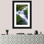 Olympic National Park Waterfall Wall Art