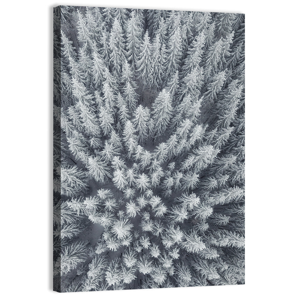 Snow Covered Pine Forest Wall Art
