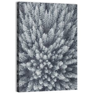 Forest Snowy Trees Wall Art