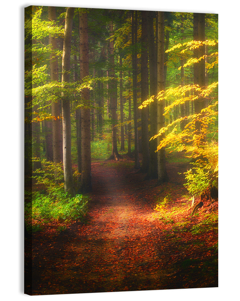 Autumn Forest Pathway Wall Art, canvas print, portrait