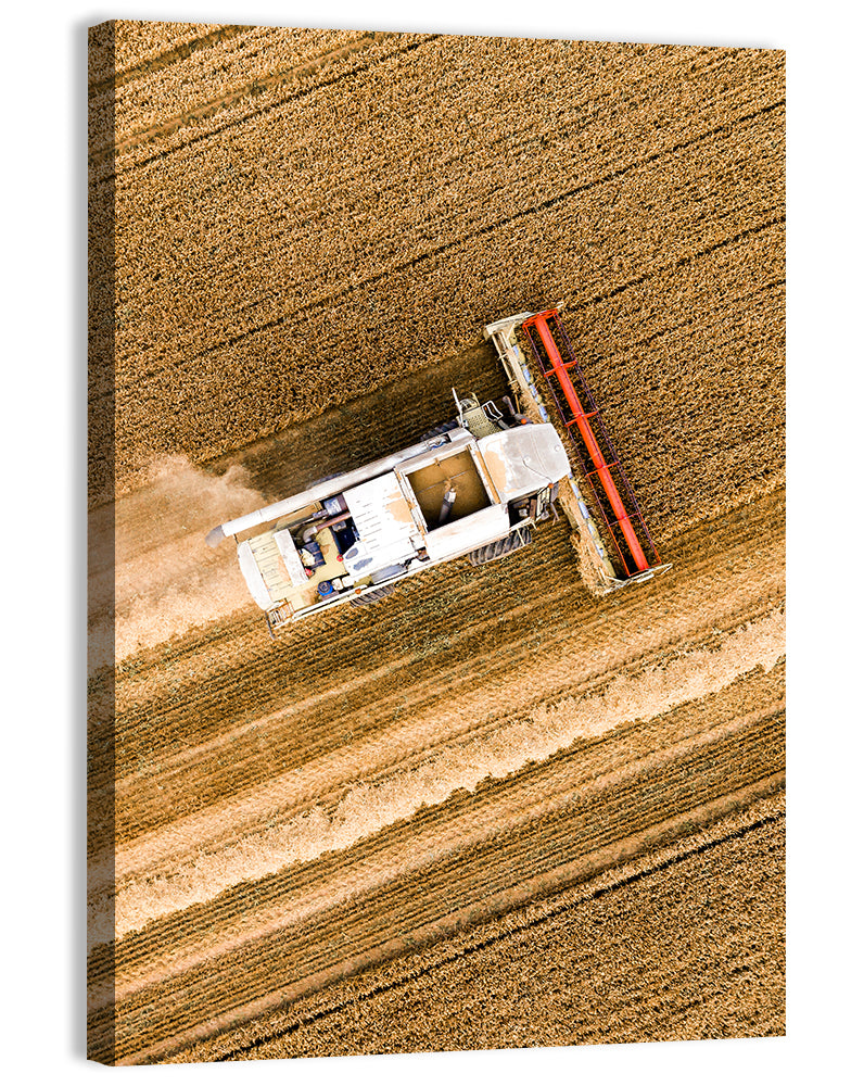 Aerial Combine Over Wheat Field Wall Art