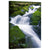 Waterfall in Olympic National Park Wall Art