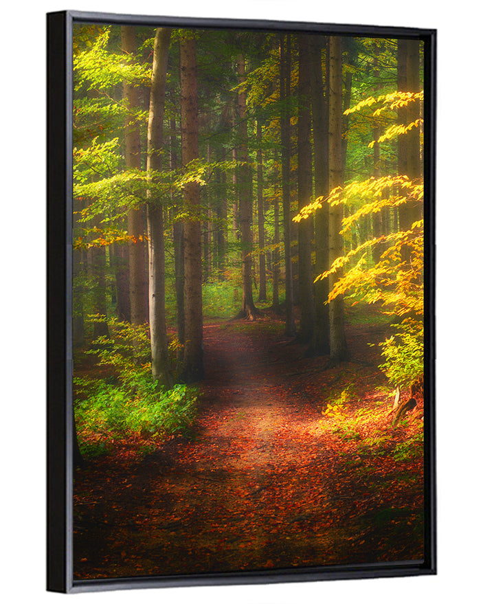 Autumn Forest Pathway Wall Art as a framed canvas