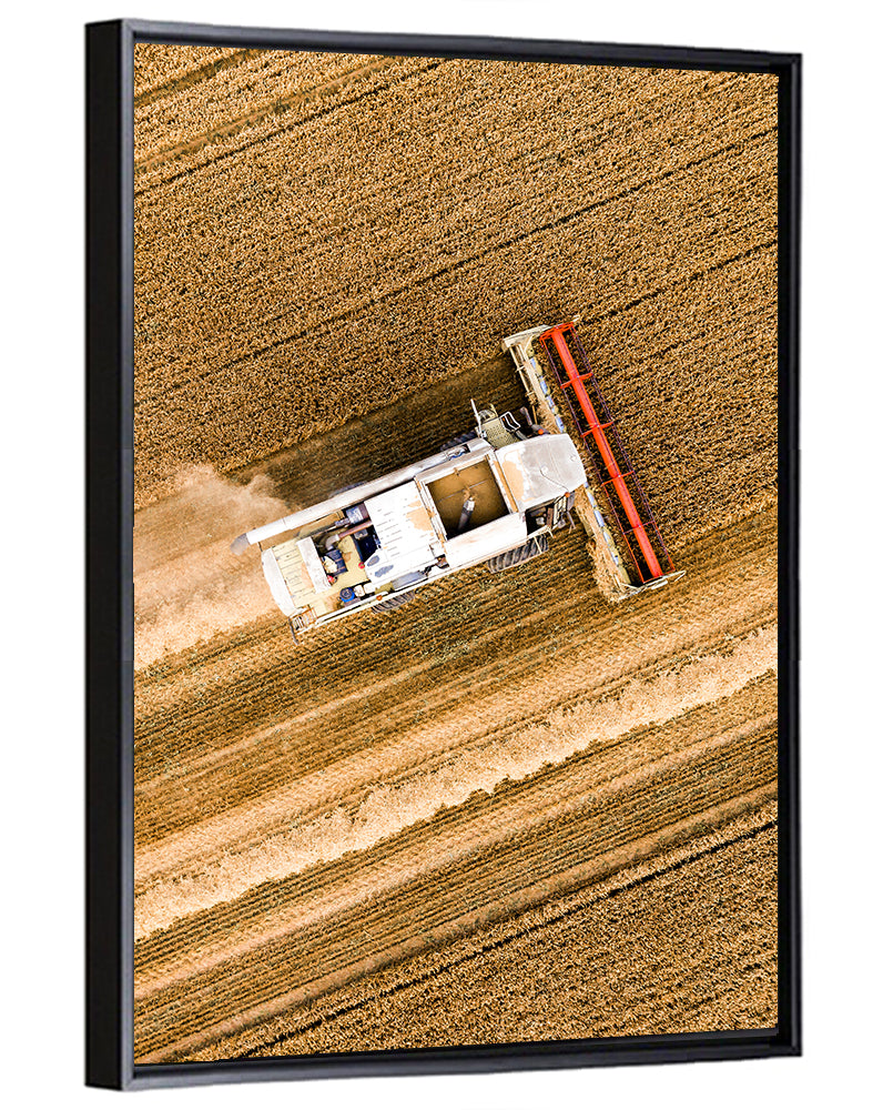 Aerial Combine Over Wheat Field Wall Art