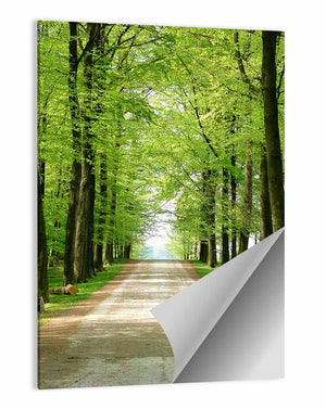 Forest Walking Path Wall Art