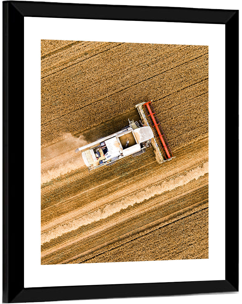 Aerial Combine Over Wheat Field Wall Art