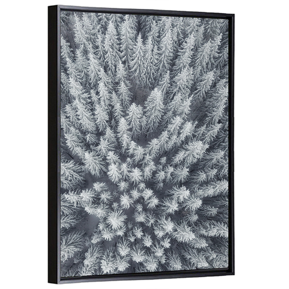 Snow Covered Pine Forest Wall Art