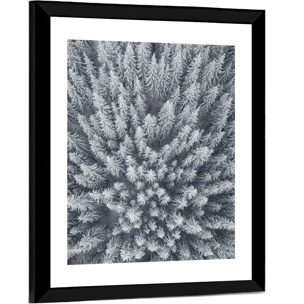 Snow Covered Pine Forest Wall Art