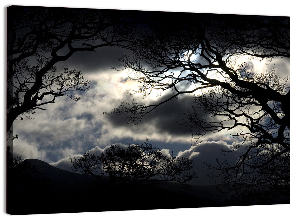 Storm Clouds Over Silhouetted Trees Wall Art, canvas print, landscape