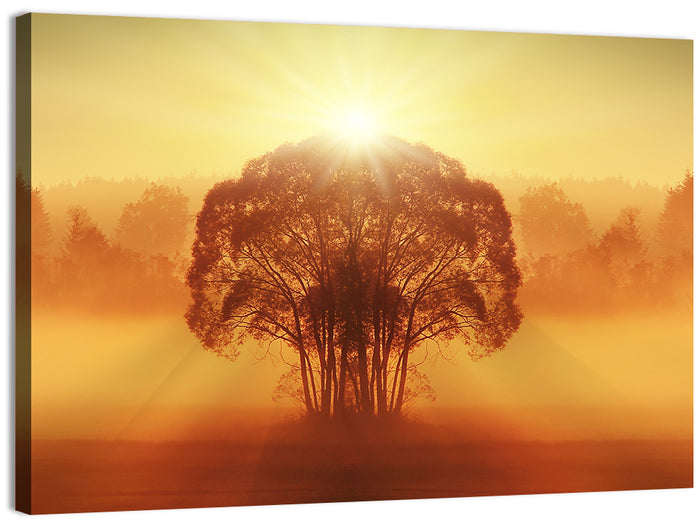 Golden Haze Tree at Sunset Wall Art as a canvas print