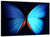 Blue Butterfly Wall Art