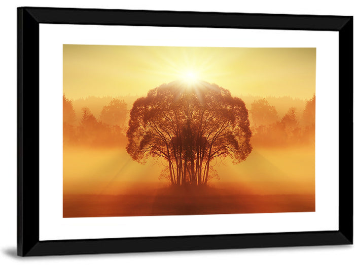 Golden Haze Tree at Sunset Wall Art as a framed print