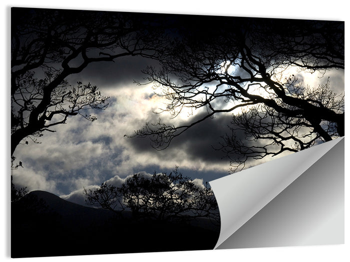 Storm Clouds Over Silhouetted Trees Wall Art as a poster print