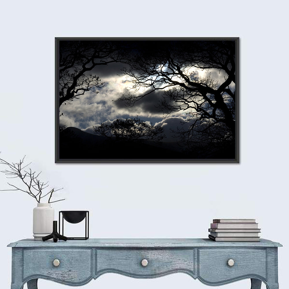 Storm Clouds Over Silhouetted Trees Wall Art in a room, landscape