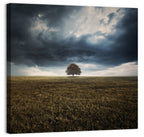 Lone Tree Under Storm Clouds Wall Art
