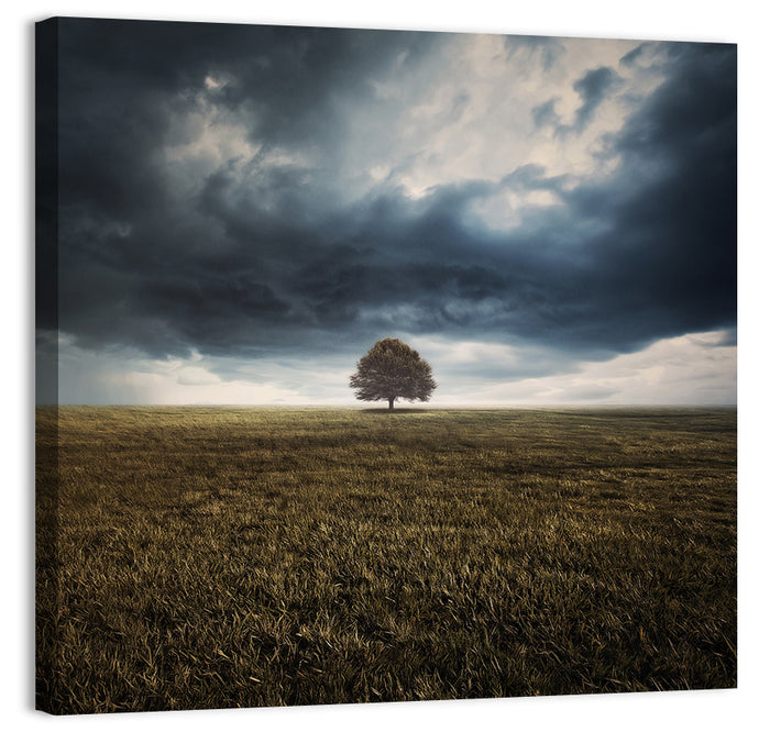 Lone Tree Under Storm Clouds Wall Art as a canvas print