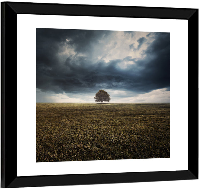 Lone Tree Under Storm Clouds Wall Art as a framed print