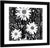 Monochrome Flowers Abstract Wall Art