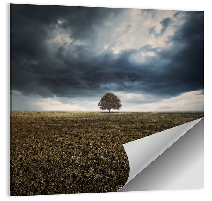 Lone Tree Under Storm Clouds Wall Art as a poster print