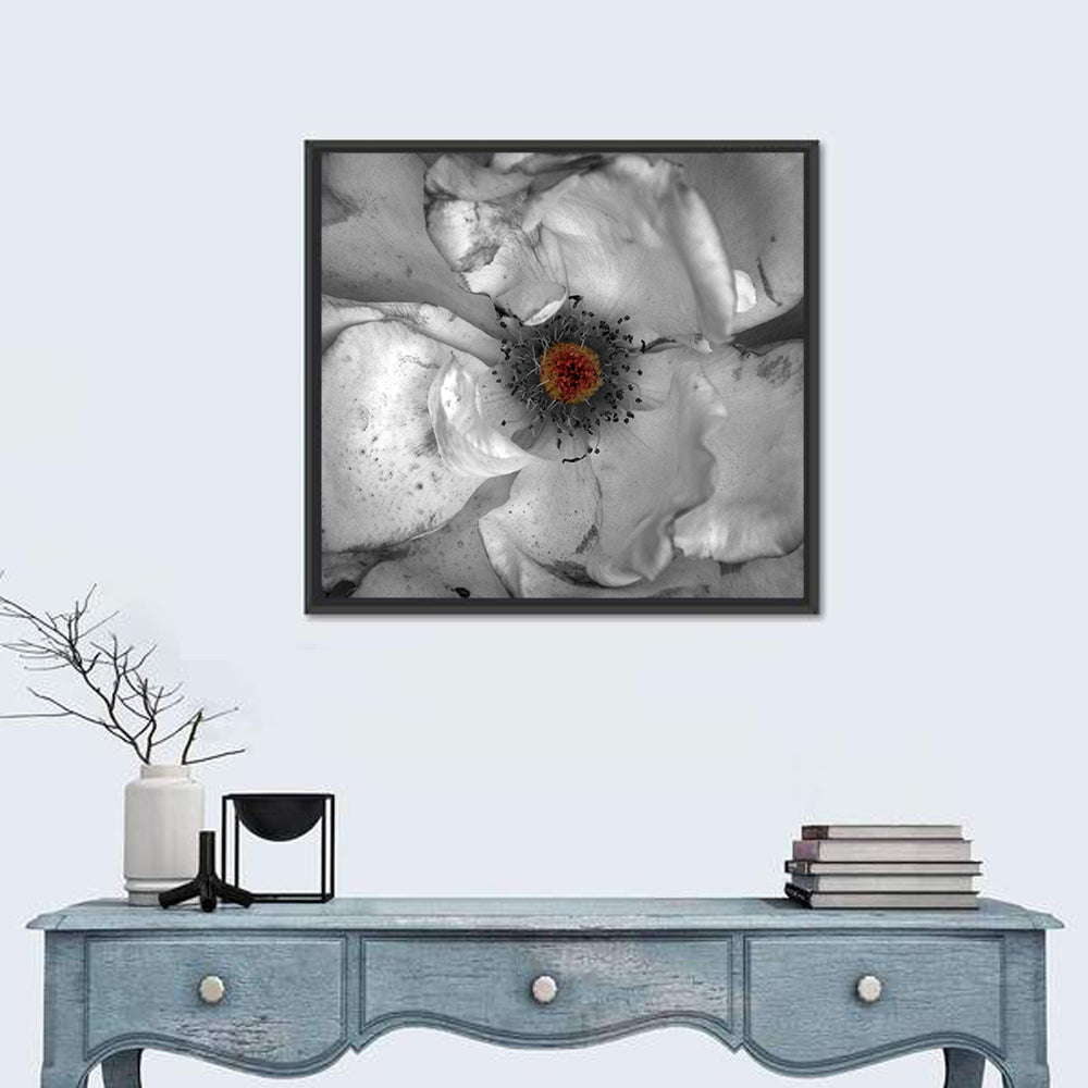 Rose Macro with Color Center Wall Art in a room, square